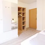 Kleine Moewe 3*